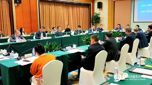 攜手云陽，數據賦能 重慶科技服務大市場助力大數據產業招商新篇章